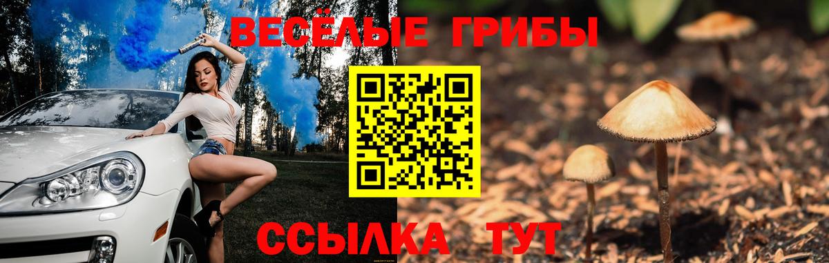 Галлюциногенные грибы прущие грибы  Псилоцибиновые грибы Cubensis  Вход с VPN  Фролово 